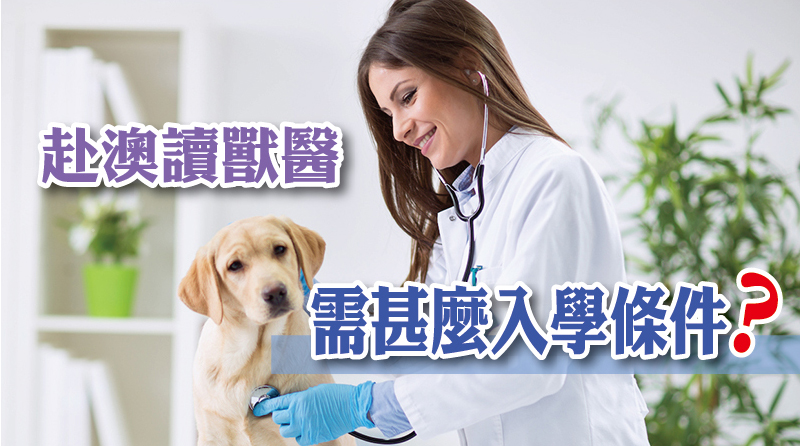 赴澳讀獸醫需甚麼入學條件？