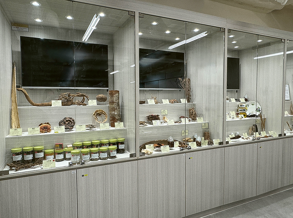 THEi高科院<br>助年輕人躋身中醫藥及健康科技藍海 THEi高科院<br>助年輕人躋身中醫藥及健康科技藍海